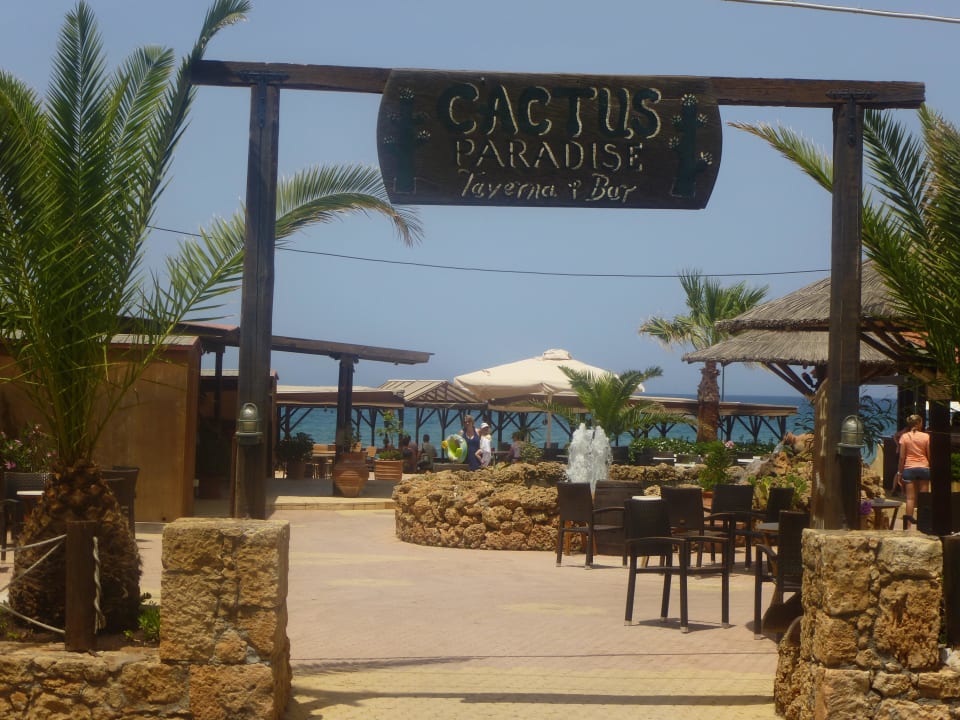 Strand-Bar Cactus Beach