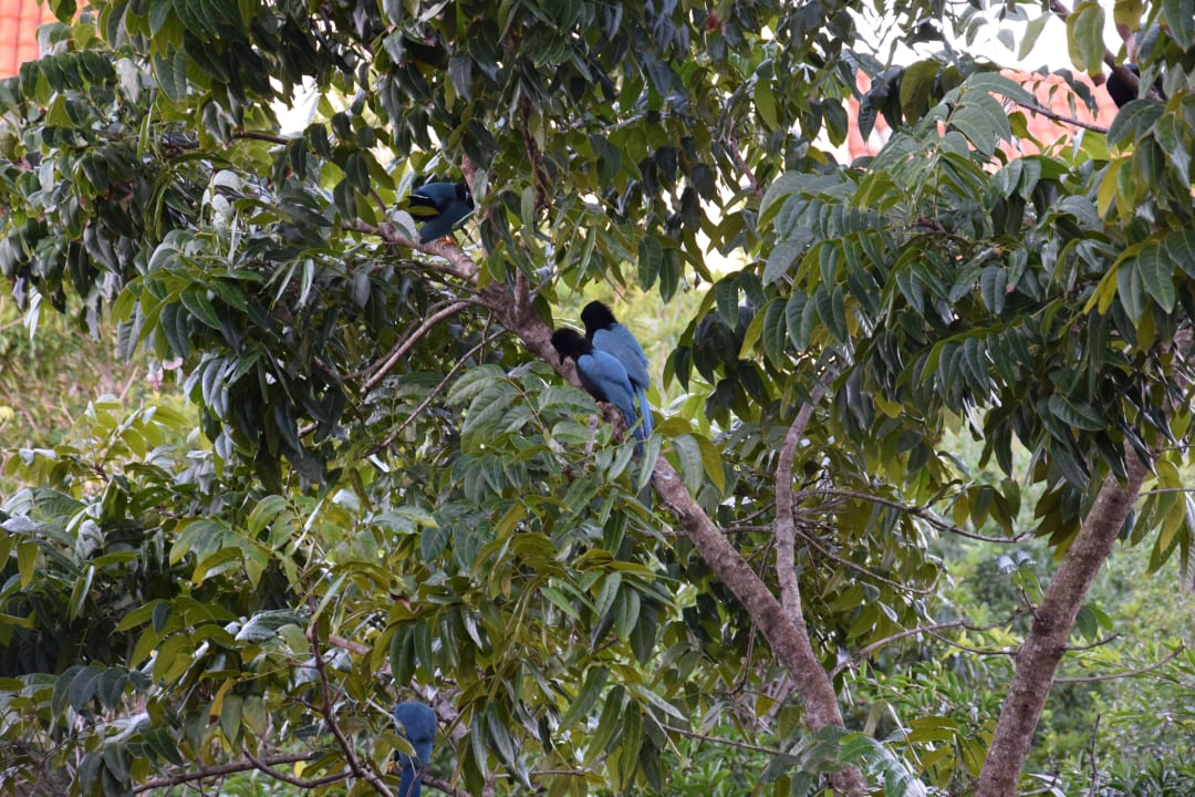 Ausblick Catalonia Royal Tulum Beach & Spa Resort - Adults only