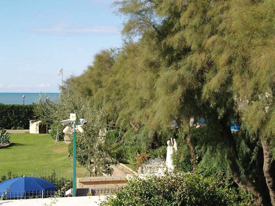 Widok z okna - tamaryszki i monitoring Alle Tamerici Hotel