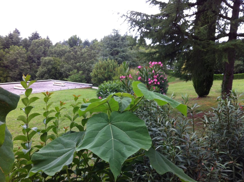 Aussicht Zimmer Rubin Hotel