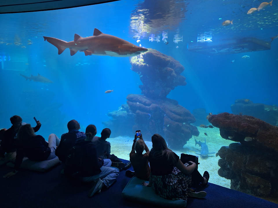 Sport & Freizeit Aparthotel Fontanellas Playa