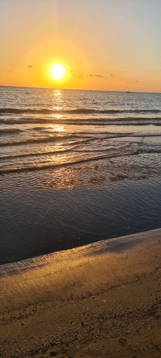 Strand Clover Magic Nova Beach
