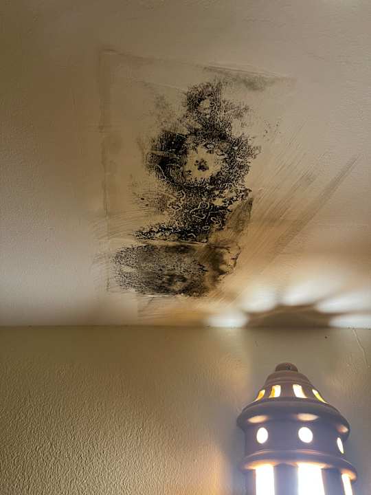 Zimmer Hotel Riu Karamboa