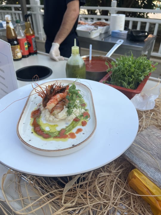 Gastro Seashell Vega