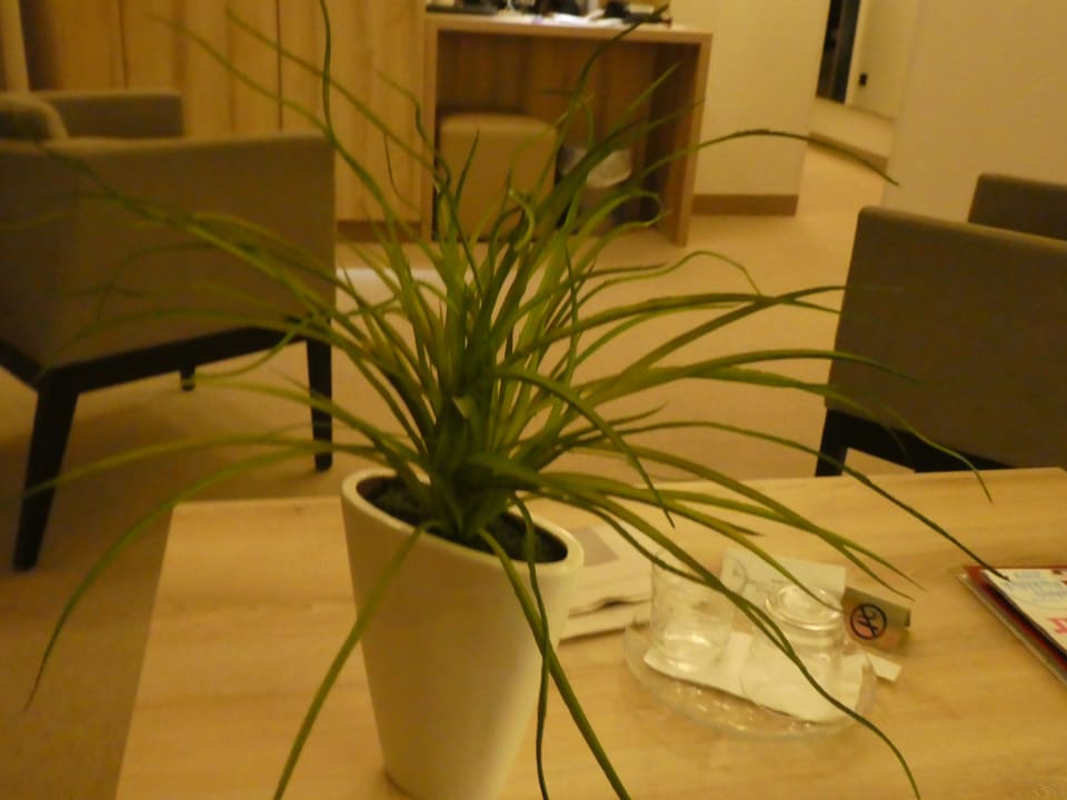 Zimmer Dünenhotel Alt-Rantum