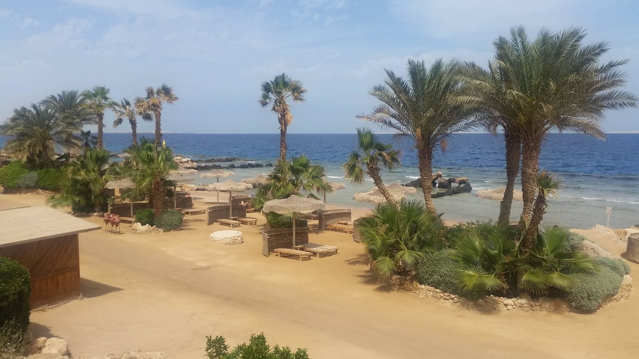 Es war sehr windig Pickalbatros Citadel Resort