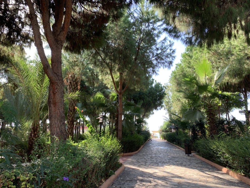 Gartenanlage Club Turtas Beach Hotel