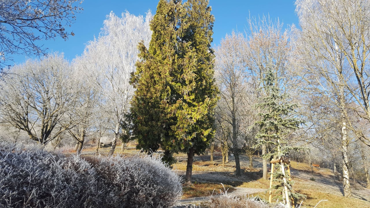 Hauspark mit Spazierwege und Bänke im Raureif Vitalhotel König am Park