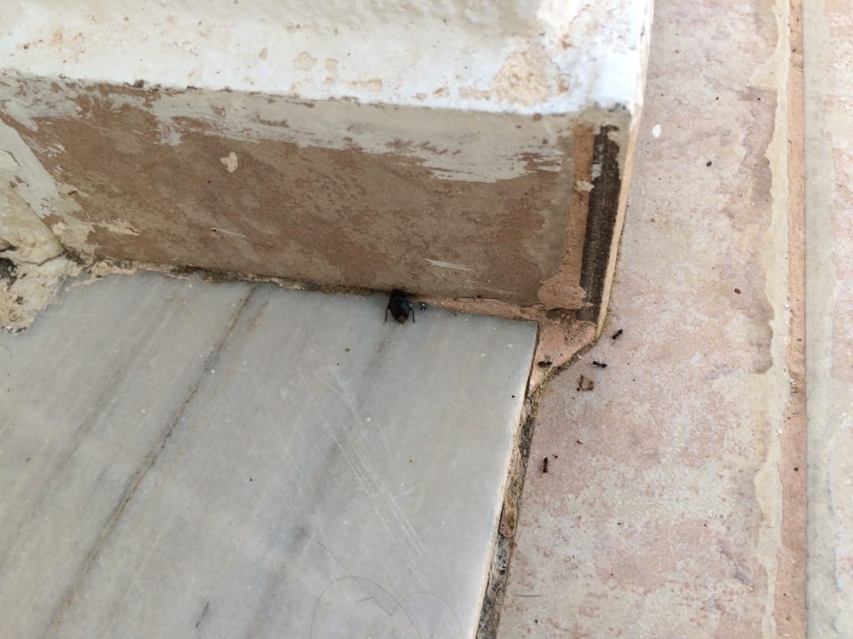 Zimmer Summer Village of Hippokrates - Adults only