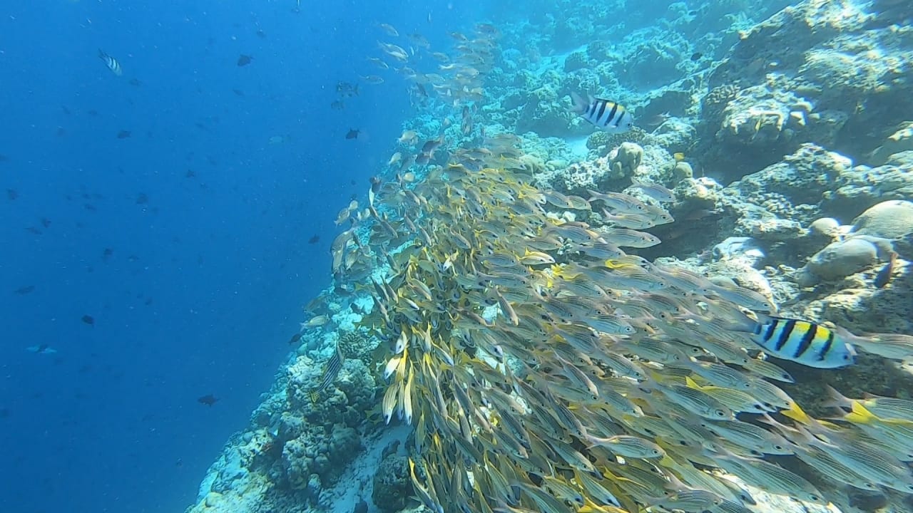 Sport & Freizeit NH Collection Maldives Reethi Resort