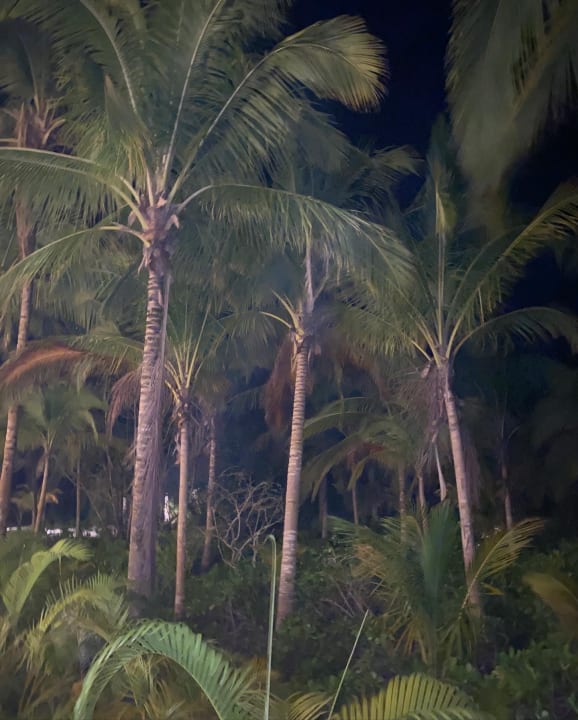 Ausblick Akumal Bay Beach & Wellness Resort