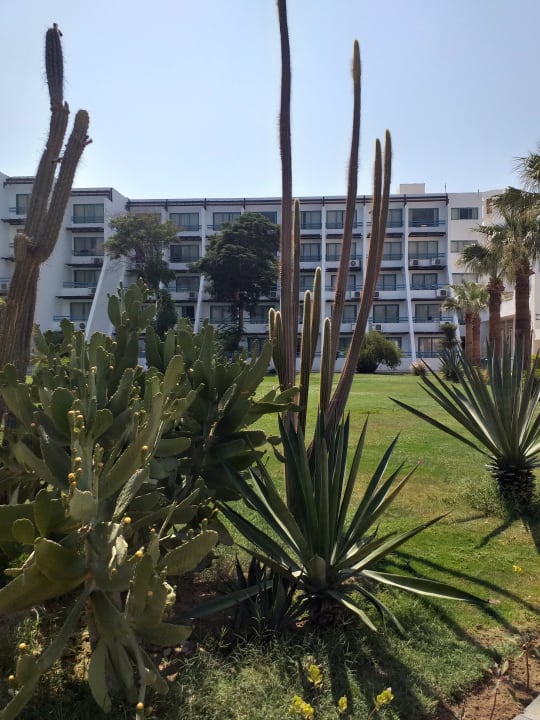 Außenansicht Shams Safaga Resort