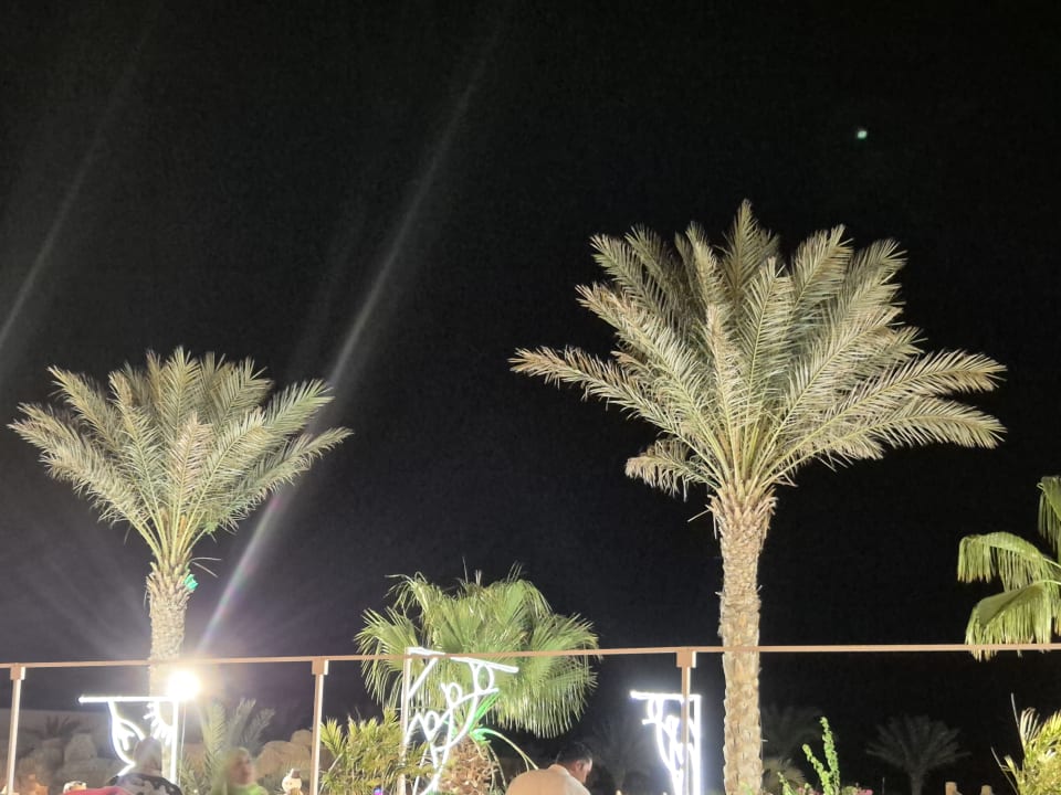 Gartenanlage Three Corners Happy Life Beach Resort