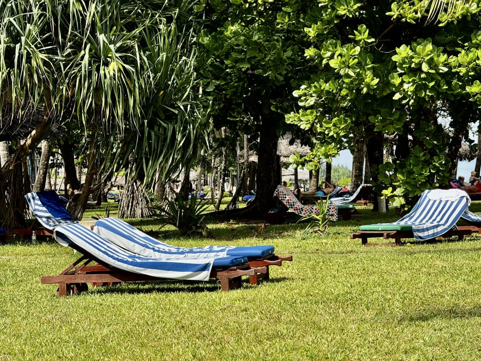 Gartenanlage Neptune Palm Beach Boutique Resort & Spa