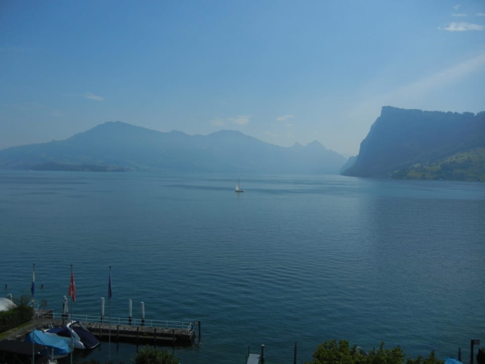 Blick auf den See Seehotel Kastanienbaum