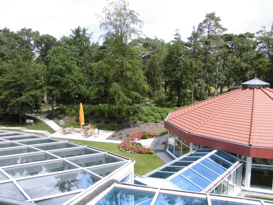 Ausblick aus dem Zimmer (Seeseite/Waldblick) Dorint Seehotel Binz-Therme Binz/Rügen
