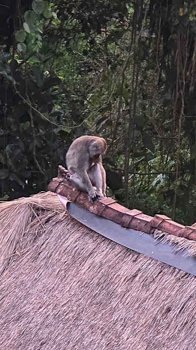 Gartenanlage Hotel Hanging Gardens of Bali