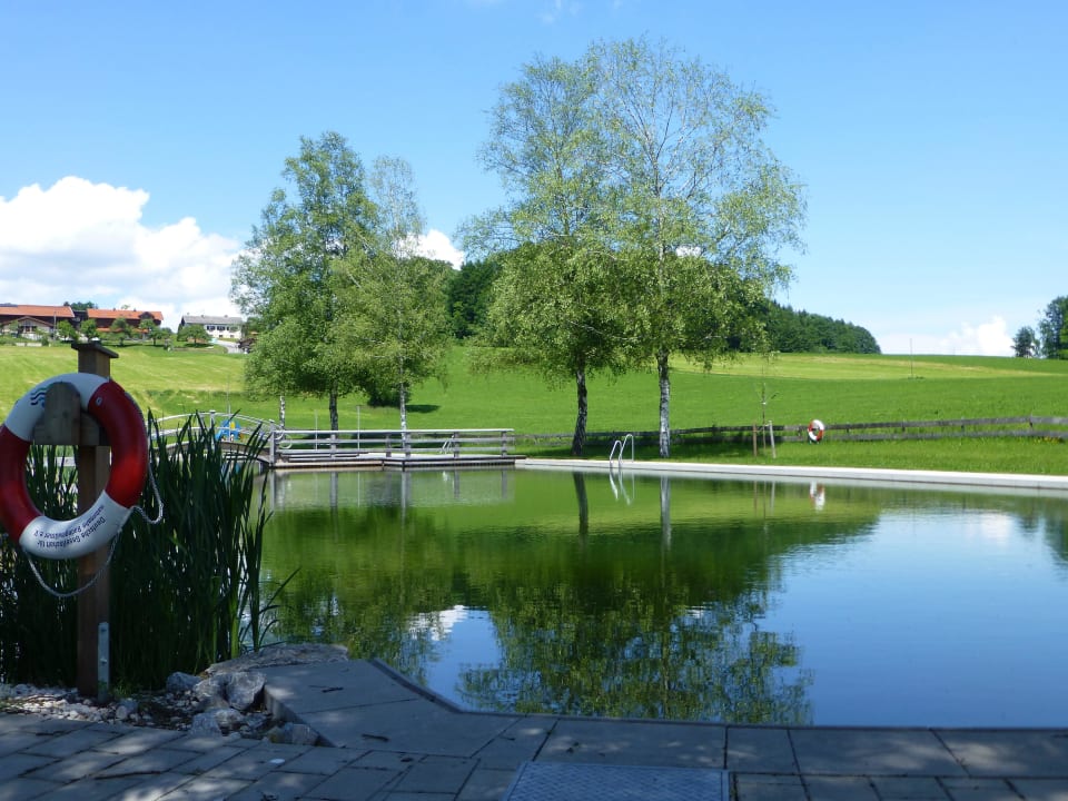 Naturbad Samerberg zu Fuß erreichbar Ferienwohnungen Estermannhof