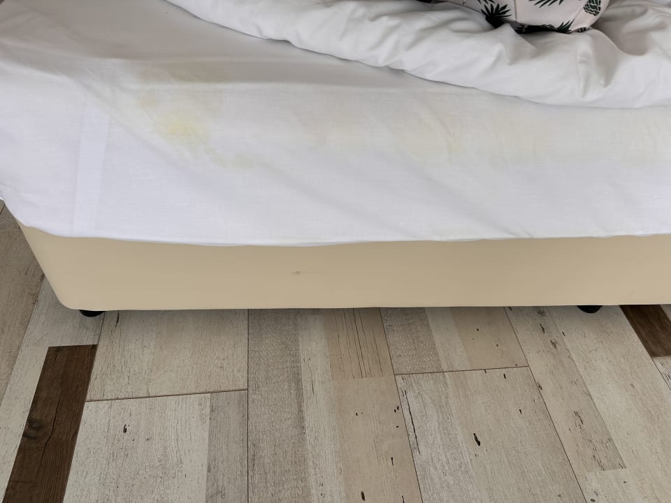 Zimmer Sentido Marea