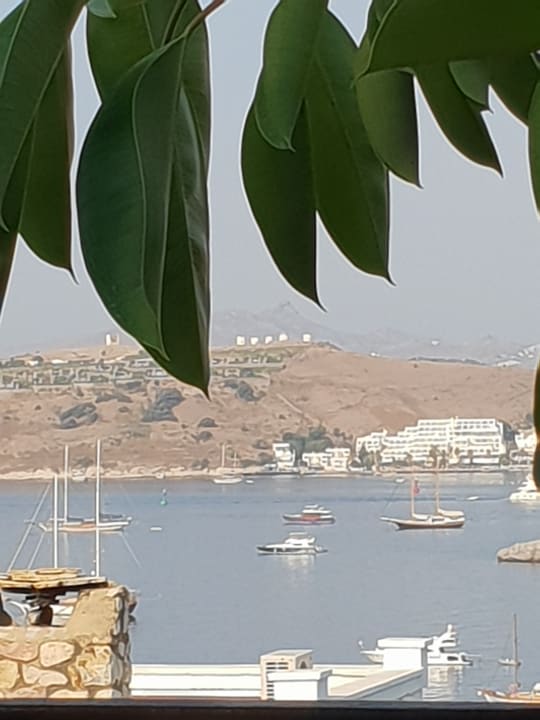 Ausblick Comca Manzara