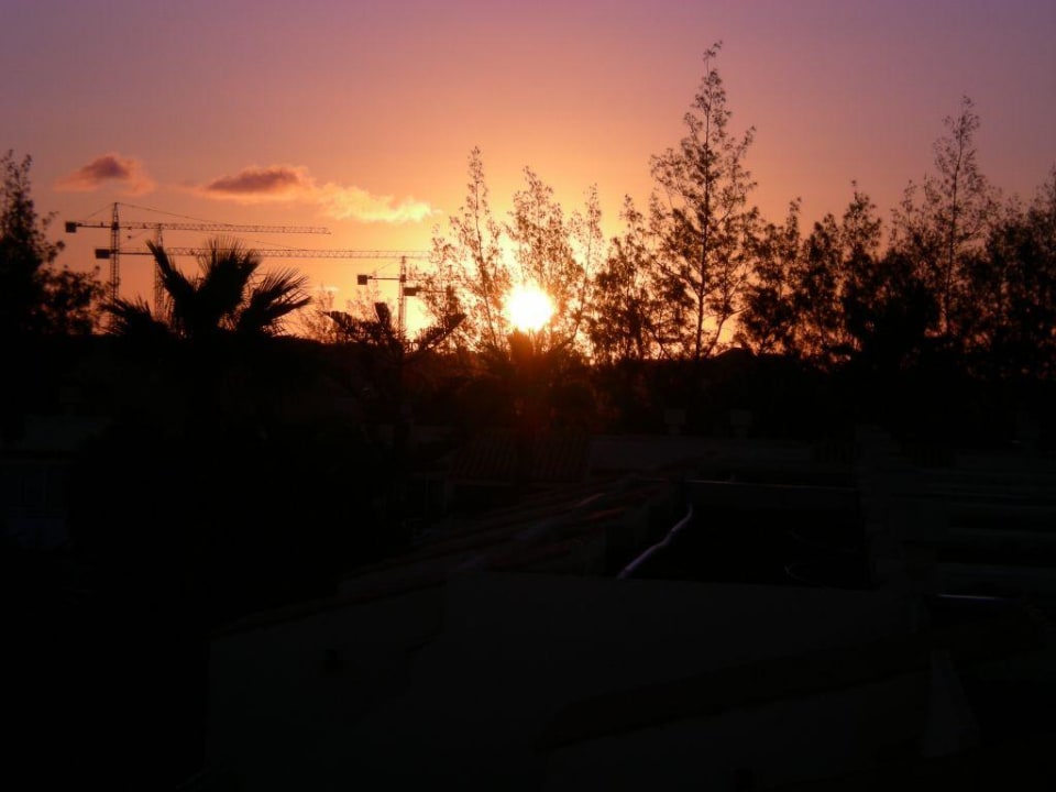 Sonnenaufgang Playa Park Zensation