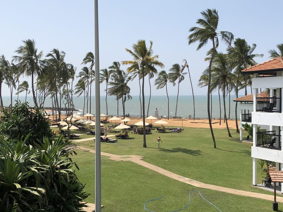 Ausblick Club Hotel Dolphin