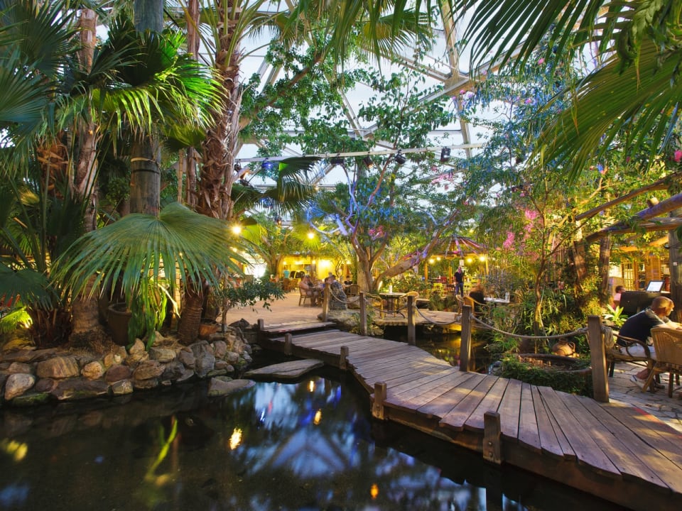 Gastro Center Parcs De Kempervennen