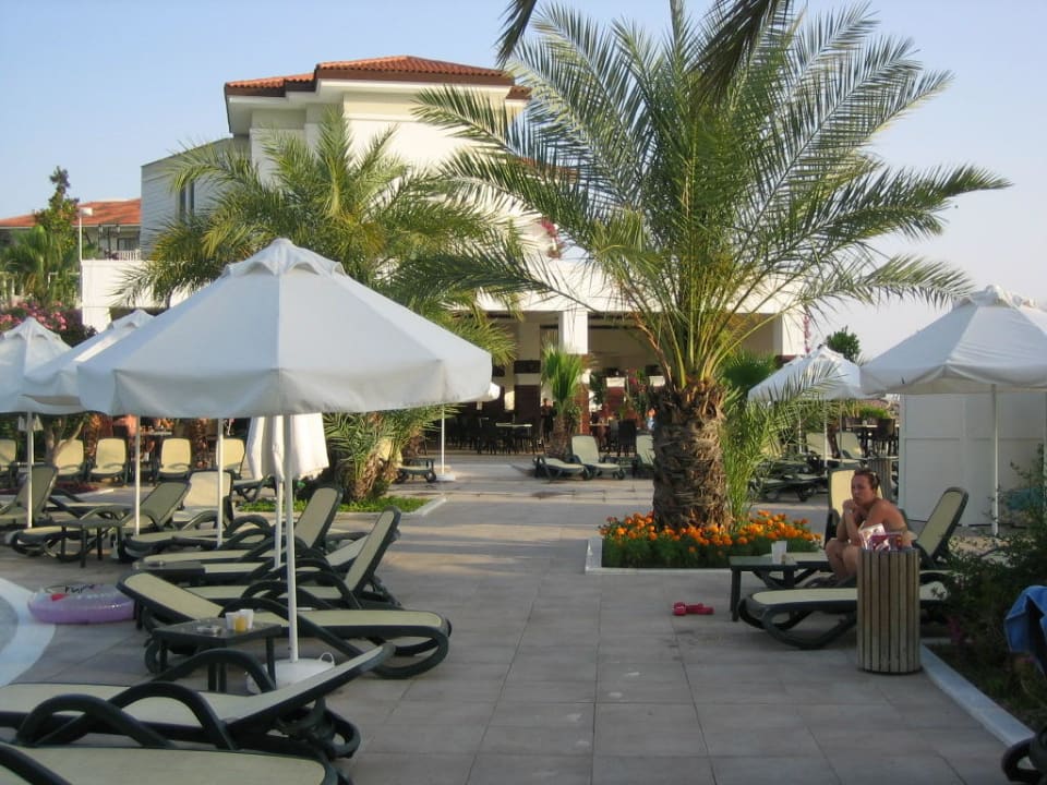 Poolbar und Poolliegen Alba Queen Hotel