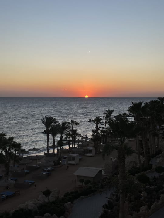 Zimmer Pickalbatros Citadel Resort