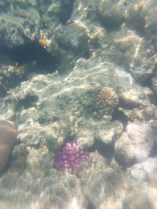 Sport & Freizeit Titanic Beach Spa & Aqua Park