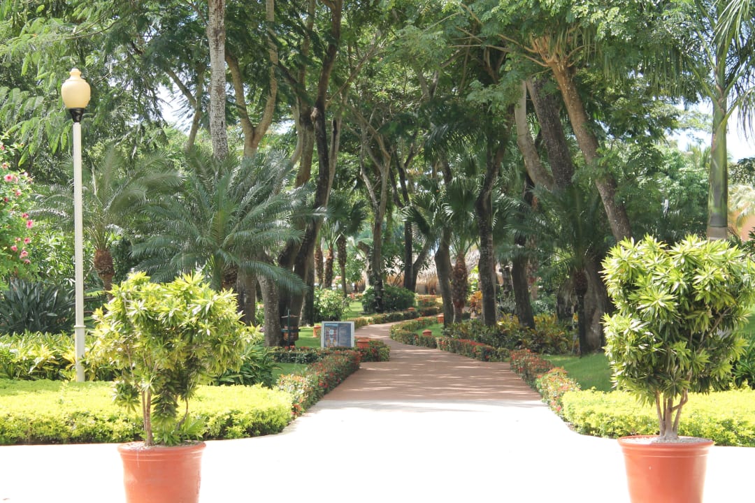 Gartenanlage Iberostar Selection Hacienda Dominicus