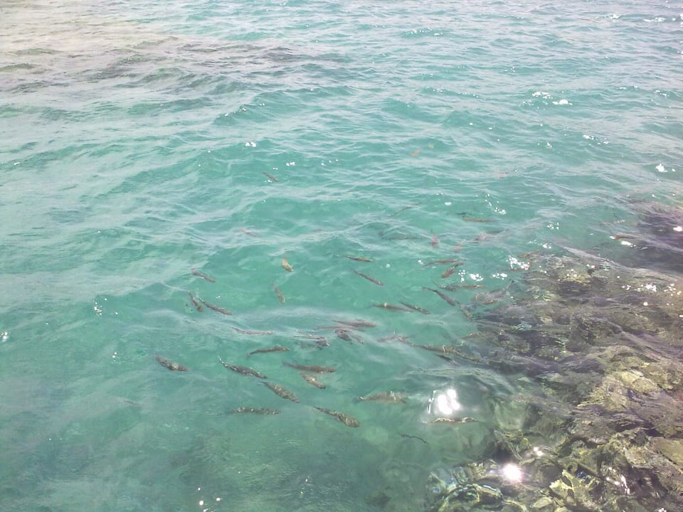 Море Jaz Makadi Oasis Resort