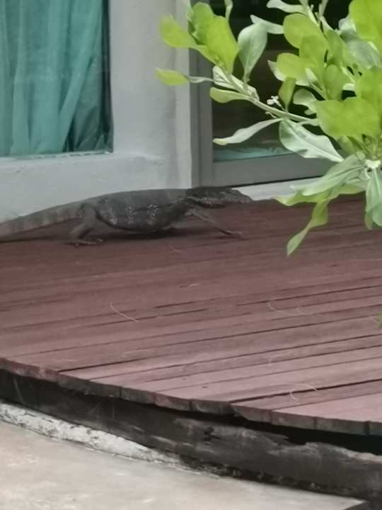 Gartenanlage TUI BLUE Mai Khao Lak