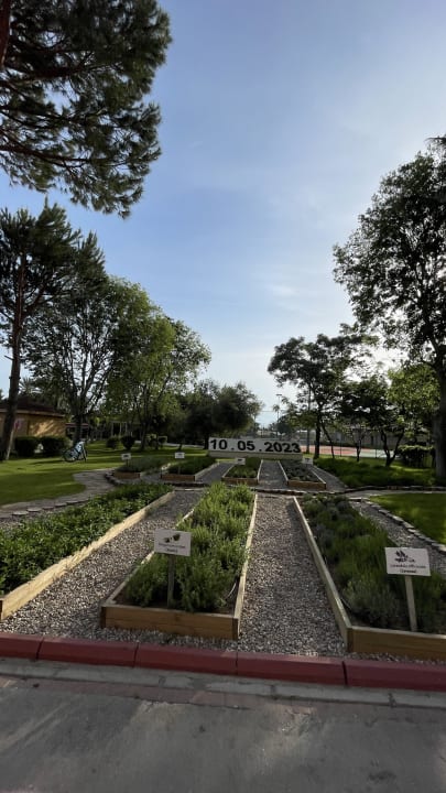 Gartenanlage Asteria Family Belek
