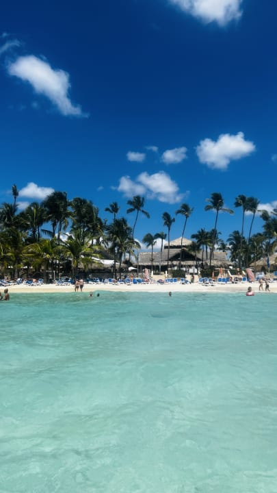 Pool Hotel Viva Dominicus Beach by Wyndham - All Inclusive Resort