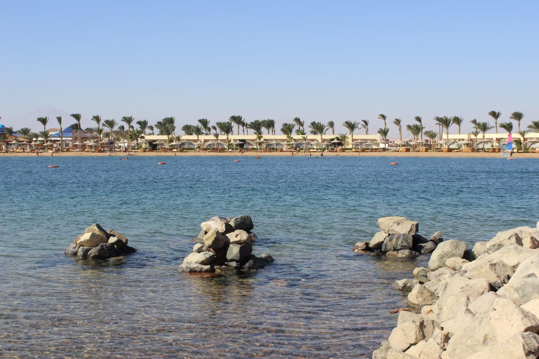 Лагуна Desert Rose