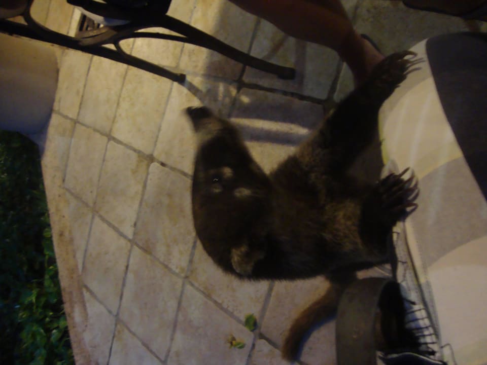 Hotel Catalonia Playa Maroma Catalonia Playa Maroma