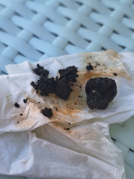 Gastro Dragut Point South Hotel