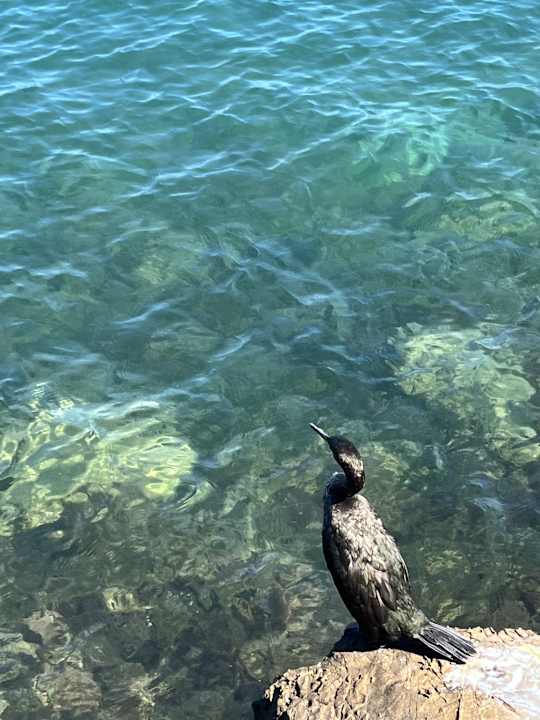 Sonstiges Laguna Maradiso Hotel by Aminess