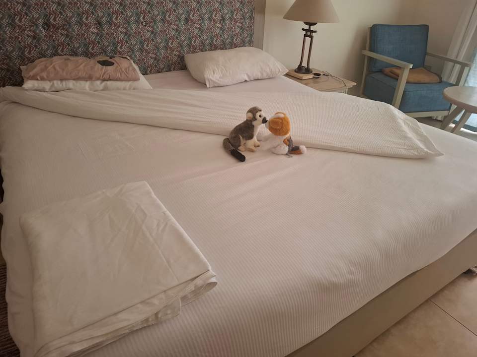 Zimmer Amarina Queen Resort Marsa Alam