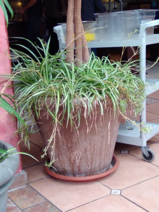 Sonstiges Center Parcs Park Nordseeküste