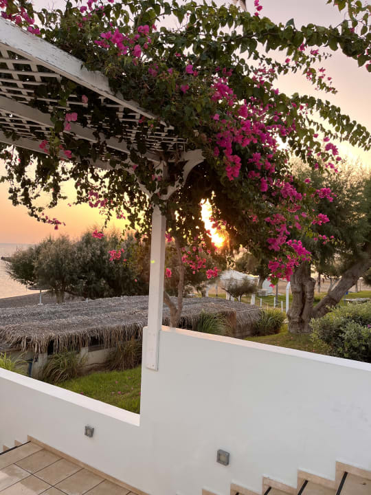 Gartenanlage TUI BLUE Oceanis Beach and Spa Resort