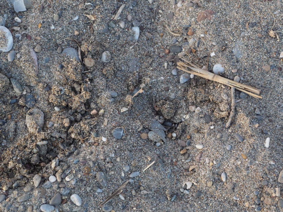 Плохой пляж Sherwood Dreams Resort