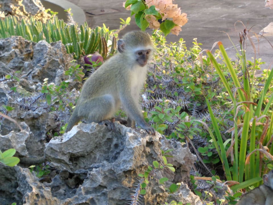 Ich bin glücklich hier zu sein.. Hotel Southern Palms Beach Resort
