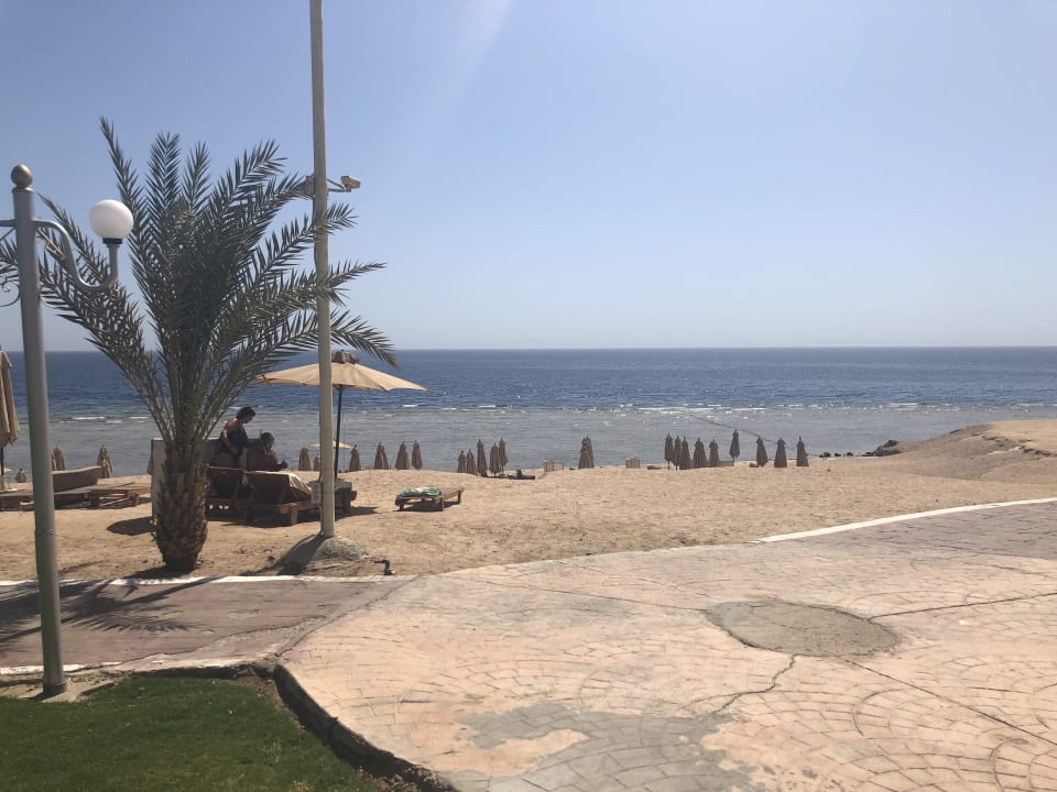 Strand Serenity Alpha Beach