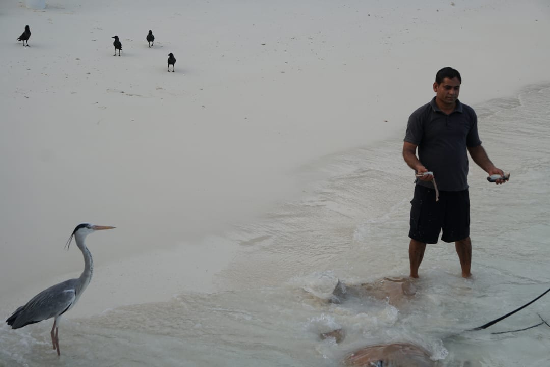 Sonstiges NH Collection Maldives Reethi Resort