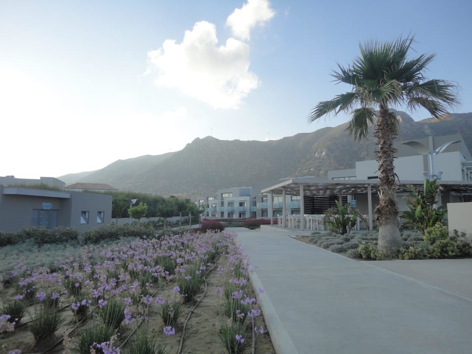 Schöne Anlage Akti Palace Resort & Spa