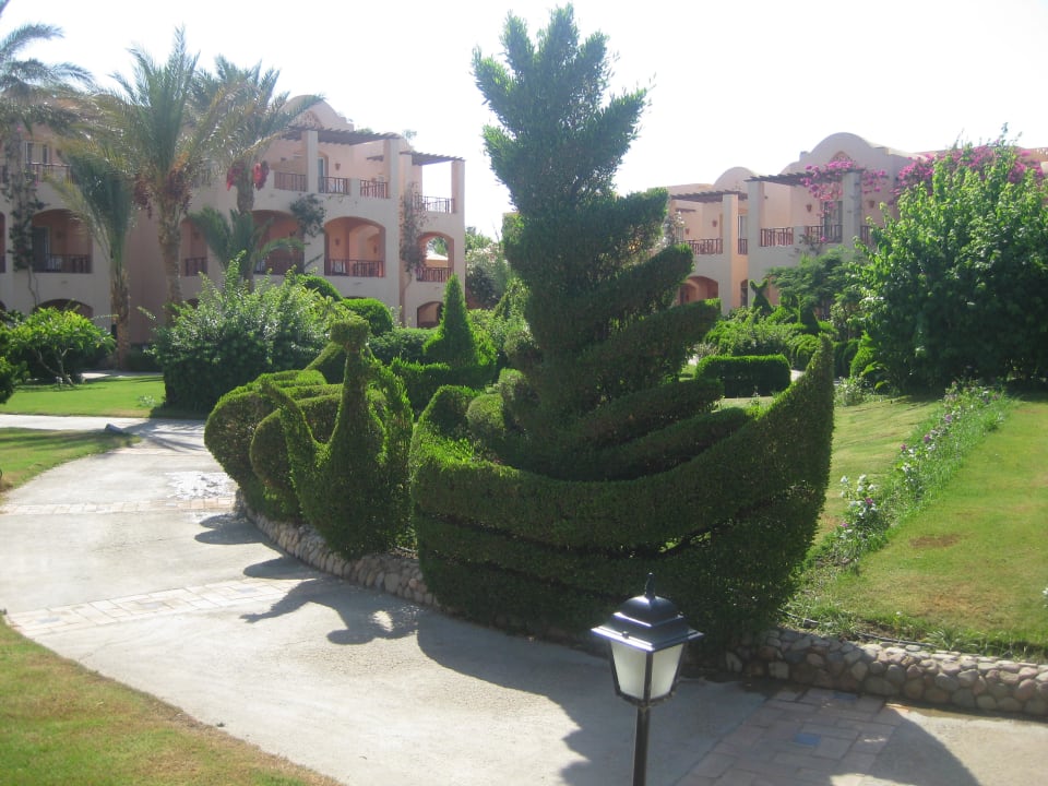 Urlaub Jaz Makadi Oasis Resort