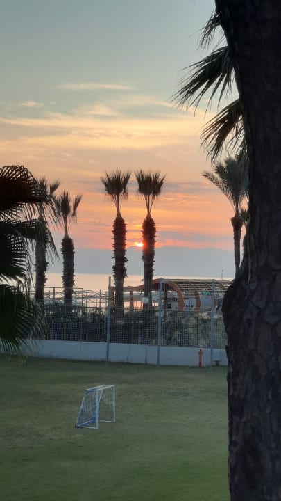 Ausblick Papillon Ayscha