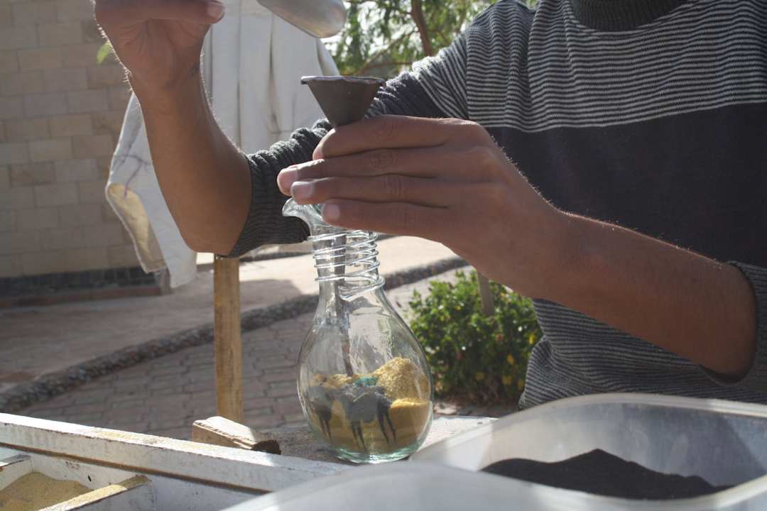 Такие милые штучки делают на пляже Le Jardin Aqua Park Resort